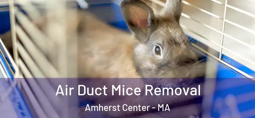  Air Duct Mice Removal Amherst Center - MA