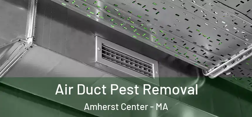  Air Duct Pest Removal Amherst Center - MA