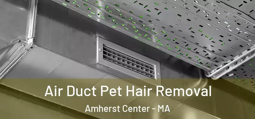 Air Duct Pet Hair Removal Amherst Center - MA