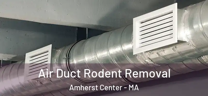  Air Duct Rodent Removal Amherst Center - MA