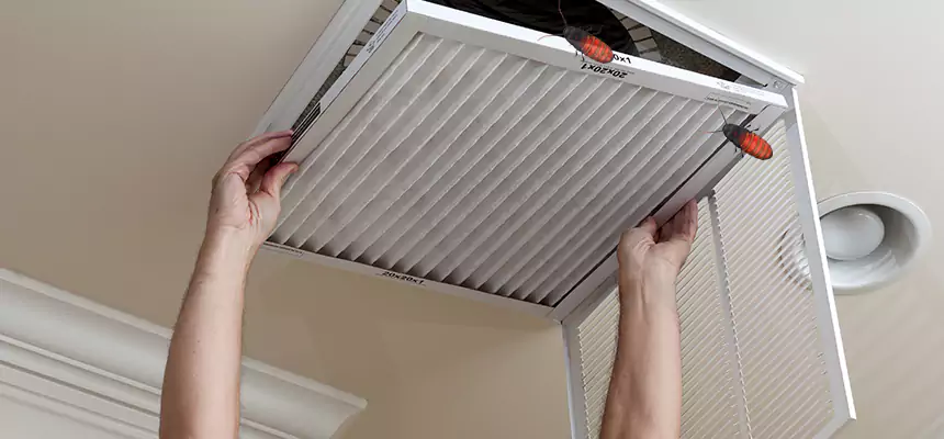 Preventive Cockroach-Proofing for Ducts in Amherst Center