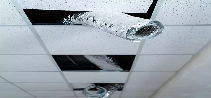 Affordable HVAC Sanitizing After Pest Removal in Amherst Center