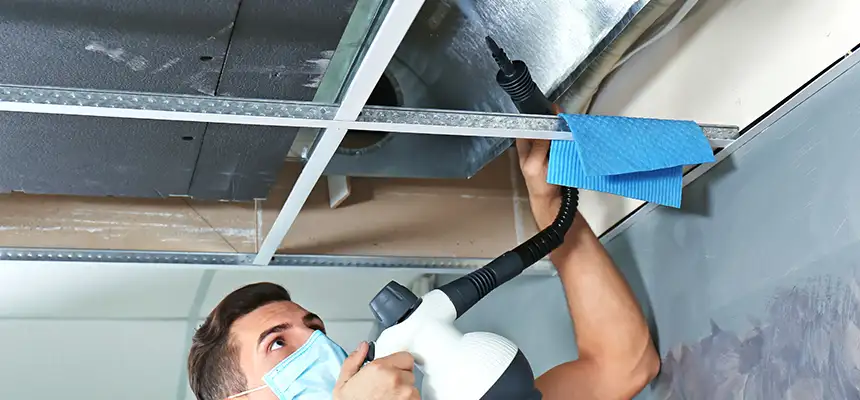 Our Air Duct Rodent Removal Services in Amherst Center, MA