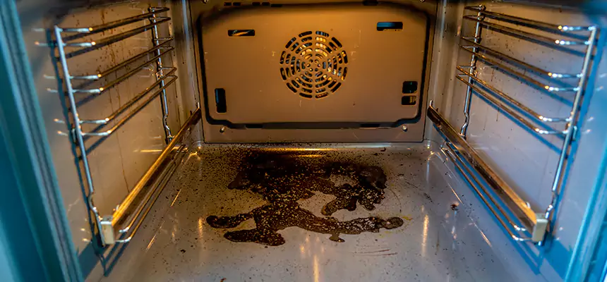 Our Dryer Vent Mold Cleaning Services in Amherst Center, MA