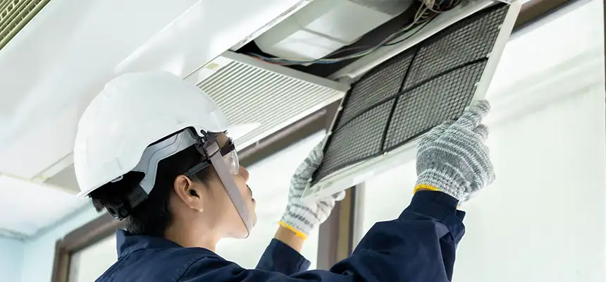 Our Lint Trap Cleaning Service Services in Amherst Center, MA