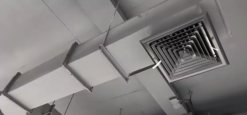 Our Pest Removal From Ducts Services in Amherst Center, MA