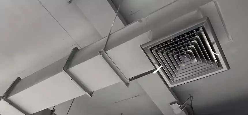 Our Rodent Droppings In Vents Services in Amherst Center, MA