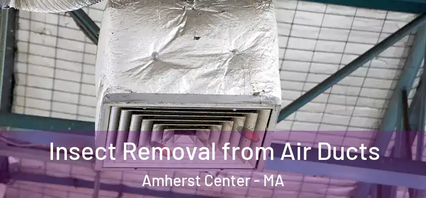  Insect Removal from Air Ducts Amherst Center - MA