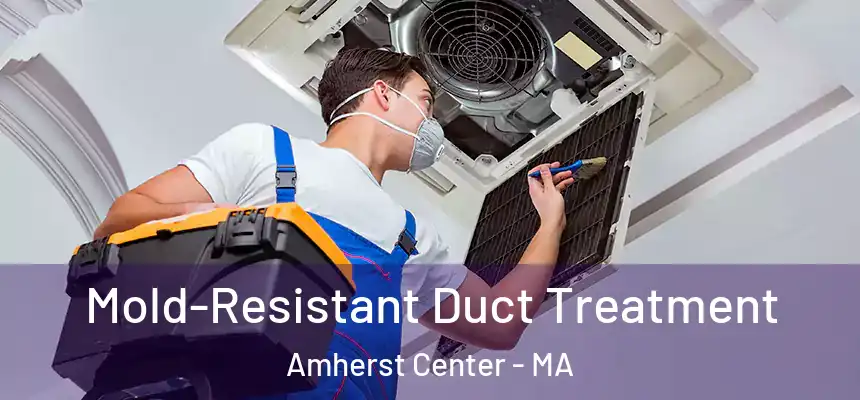  Mold-Resistant Duct Treatment Amherst Center - MA