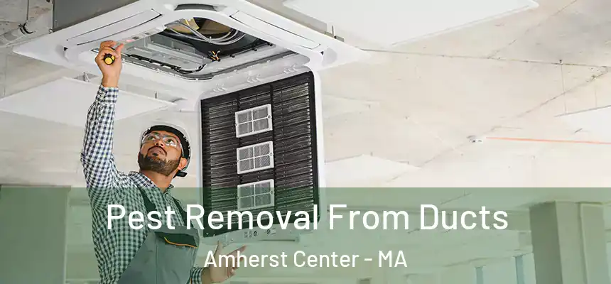  Pest Removal From Ducts Amherst Center - MA
