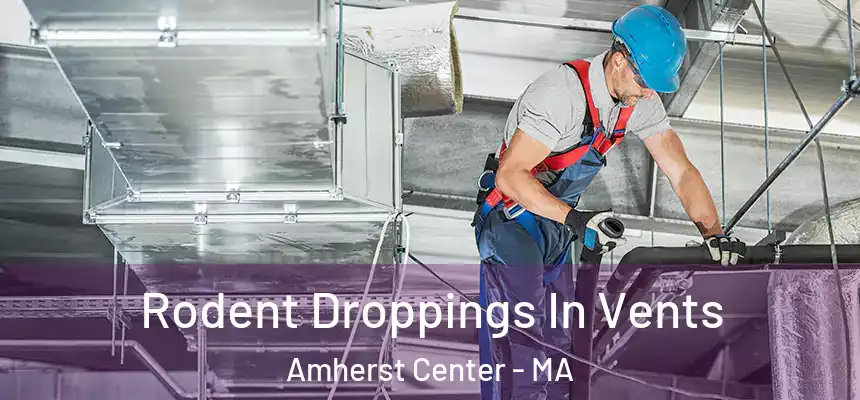  Rodent Droppings In Vents Amherst Center - MA