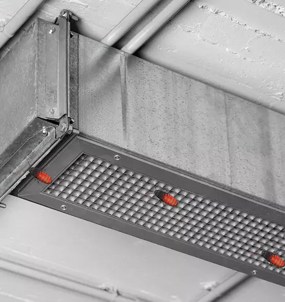 About Air Duct Cockroach Removal in Amherst Center, MA