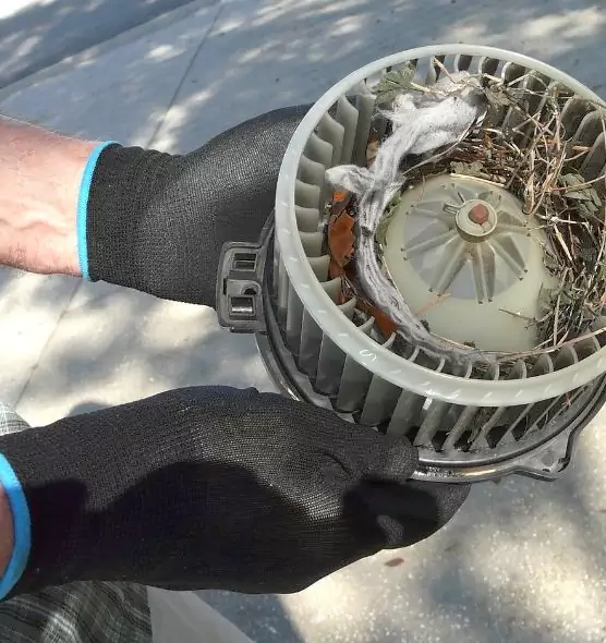 About Air Duct Mice Removal in Amherst Center, MA