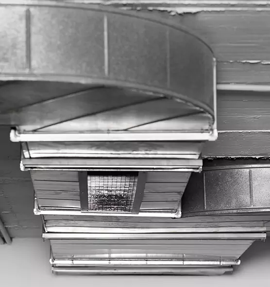 Professional Air Duct Pest Removal in Amherst Center, MA