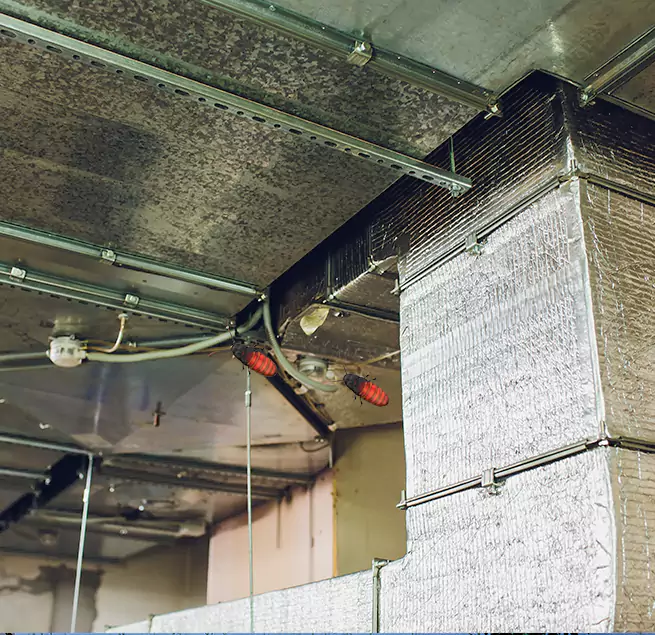 Why Homeowners & Businesses Trust Us in Amherst Center, MA?