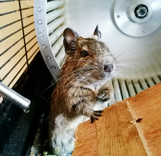 Why Homeowners & Businesses Trust Us Amherst Center, MA