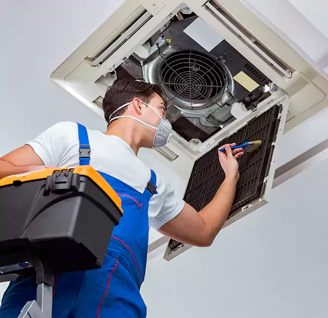 Why Homeowners & Businesses Trust Us in Amherst Center, MA